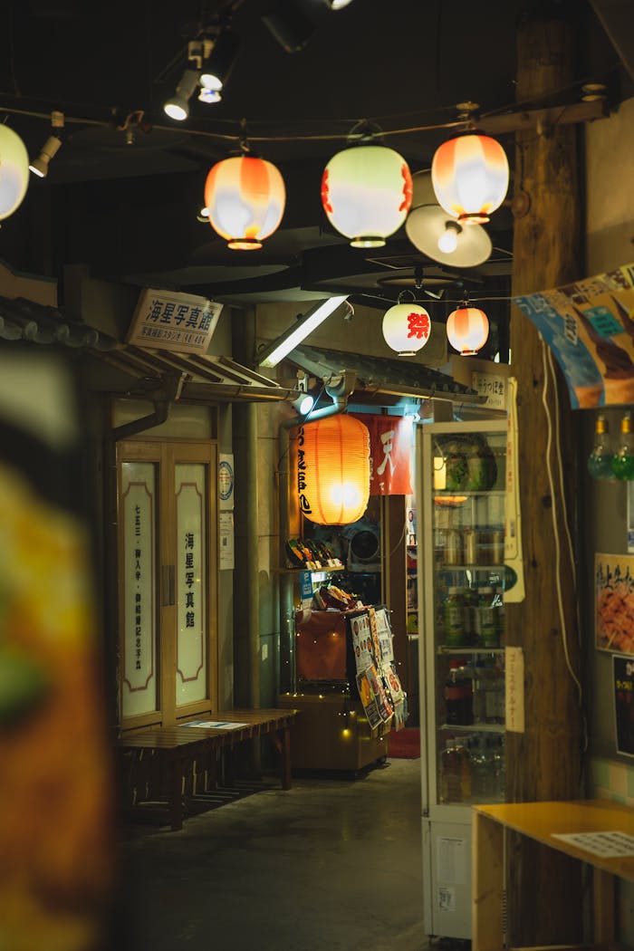 Illuminated Chinese lanterns illuminating street with shops and hieroglyphs on showcases at night
