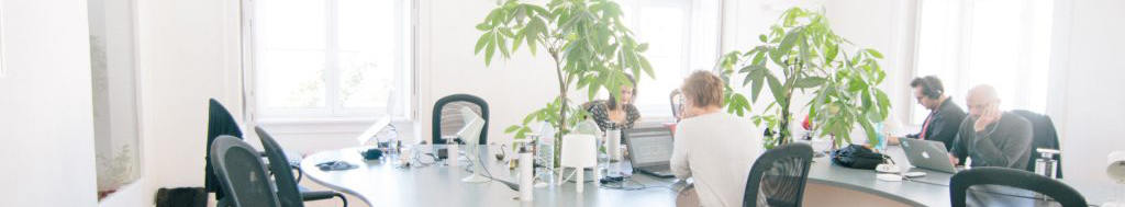 equipo de trabajo
